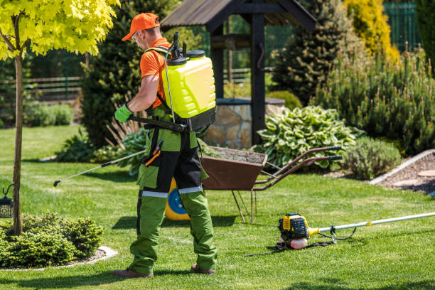 Best Lawn Pest Control  in Oblong, IL